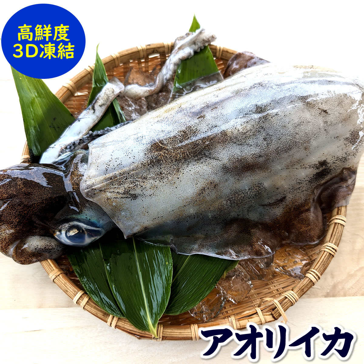アオリイカ(冷凍)1杯 約100-149g程度【兵庫県浜坂産】個包装(あおりいか・水いか・水イカ・もいか・モイカ・烏賊・高級)