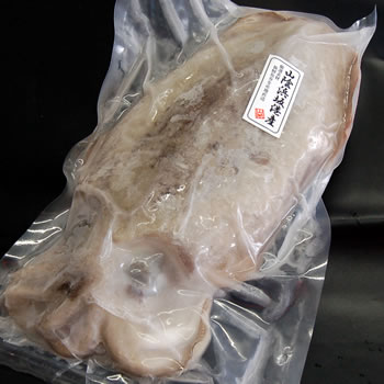 モンゴウイカ（カミナリイカ）【生冷凍】　特大　1杯入　約1.0-1.2kg（胴長さ目安：約22cm程度）　【浜坂産】　（紋甲いか・もんごういか・かみなりいか）