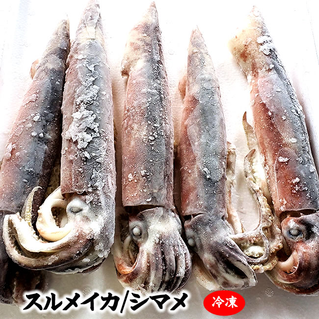 （送料無料）するめいか（冷凍）お徳用　1kg（5-6杯程度入）国産（山陰浜坂産）（シマメイカ、しまめいか、スルメイカ）