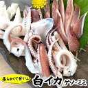 生白イカのゲソ&耳(冷凍)3パック×約150g入(兵庫県浜坂産)バーベキューに!(白烏賊・白いか・烏賊・やりいか・ヤリイカ・ケンサキ・けんさき)