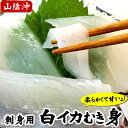 白いかむき身（冷凍）　約350g（3-10枚程度入）　【浜...