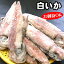 白イカ(冷凍)約1kg(5杯前後入)(浜坂産)お刺身OK! (白烏賊・白いか・烏賊・やりいか・ヤリイカ・ケンサキ・けんさき)