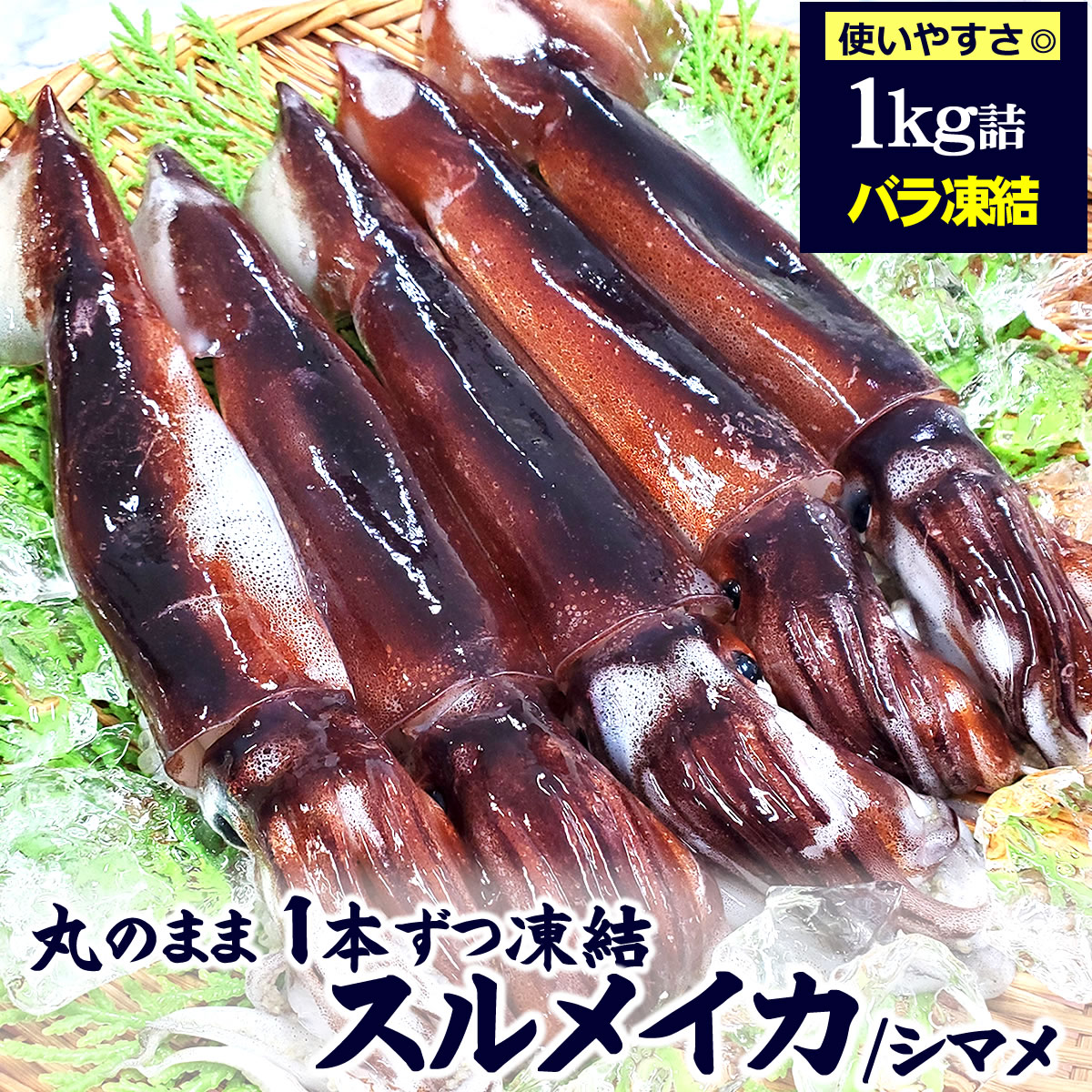 （送料無料）するめいか（冷凍）お徳用　1kg（3-6杯程度入