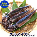 するめいか(生冷凍) 大 1杯 約300-399g 兵庫県浜坂産 個包装 レアサイズ 塩辛作るならおすすめなサイズ感(シマメイカ、しまめいか、スルメイカ)