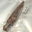 ヤリイカ（生冷凍）1杯　胴長さ約26-28cm　【浜坂産】（別名：ケンサキイカ、テナシイカ）