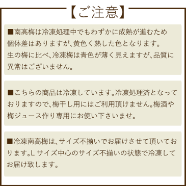 冷凍梅 南高梅 和歌山県 みなべ町産 2kg