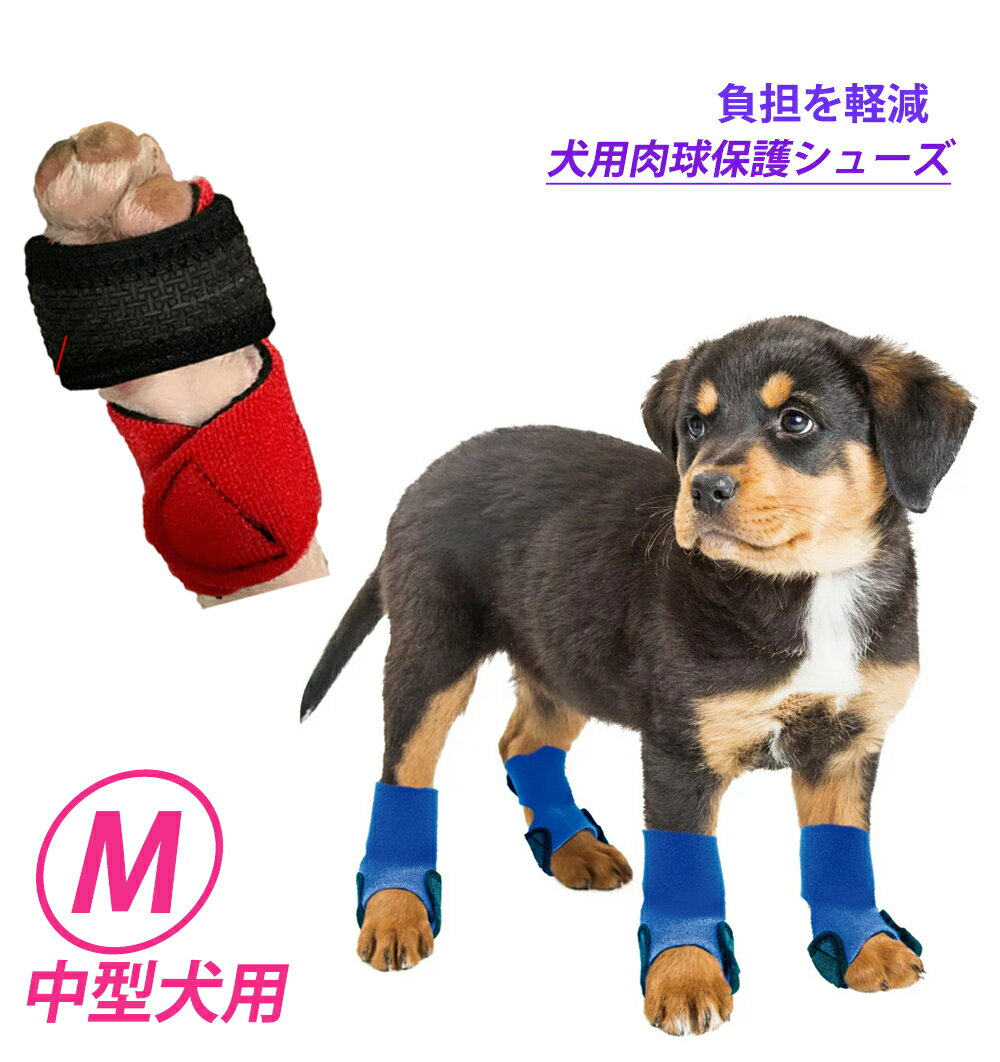 犬用肉球保護シューズ Mサイズ 中（小）型犬用 　2枚組(脚2本分) フローリング等で滑ってしまうワンちゃん夏の熱いアスファルト、冬の冷たいアスファルトが気になる飼い主様にぴったり!!【山本化学工業】足の関節負担軽減に 防水性と保温性に優れたウェットスーツ素材の犬用シューズ 脚をやさしく包み、フローリング等で滑ってうまく歩けないワンちゃんにおすすめです。靴下タイプで嫌がっていたワンちゃん履いてもすぐ脱げちゃうワンちゃんマジックテープでサイズ調整ができフィット感抜群です。また巻くタイプなので装着簡単!!2枚1セットになりますので、前足、後ろ足全てを購入ご希望の際には2セットお買い求めください。前足、後ろ足で太さが異なるわんちゃんにはそれぞれのサイズでお買い求めいただけます。 主原料から工場までALL「made in Japan」 ジャパンプレミアム製品 山本化学工業の特殊素材を使用 夏のアスファルトの上の散歩道が気になる飼い主様 冬のアスファルトの上の散歩道が気になる飼い主様 フローリング等で滑ってうまく歩けないワンちゃん メール便での発送になりますので、納品書は省略させて頂きます。お届けまで郵送よりも少し時間を頂戴する場合があります。世界のトップアスリートが使用する防水性と保温性に優れたウェットスーツ素材の犬用シューズです。脚をやさしく包み、フローリング等で滑ってうまく歩けないワンちゃんにおすすめです。靴下タイプで嫌がっていたワンちゃん履いてもすぐ脱げちゃうワンちゃんマジックテープでサイズ調整ができフィット感抜群です。また巻くタイプなので装着簡単!!主原料から工場までオール「made in Japan」のジャパンプレミアム製品※前後脚兼用です。※2個組(脚2本分)の価格です。高速水着「たこやきラバー」で有名な山本化学工業の特殊素材を使用レッド・ブラック・ピンク・ブルーからお選びいただけます。受注生産のため、出荷までにお日にちがかかる場合もあります商品の特性上、お客様都合での返品はお受けできません。サイズ表をよくご確認の上ご注文ください。サイズ：Mサイズ 中型犬用:肉球(掌・足底)周りの適応サイズ：11〜14cm足首周りの適応サイズ：10cm以下対応犬種(例)：ウェルシュ、コーギー、ペンブローク、ビーグル等他のサイズもございます。SSサイズ 超小型犬用:肉球(掌・足底)周りの適応サイズ：8〜11cm足首周りの適応サイズ：8cm以下S 小型犬用:肉球(掌・足底)周りの適応サイズ：9〜11cm足首周りの適応サイズ：8cm以下L 中型犬用:肉球(掌・足底)周りの適応サイズ：13〜19cm足首周りの適応サイズ：16cm以下LL 大型犬用:肉球(掌・足底)周りの適応サイズ：15〜21cm足首周りの適応サイズ：18cm以下【使用上の注意】◆一般的なゴム特有のにおいがあります。◆当商品はメール便での発送になります。◆使い始めは様子をみながらご使用下さい。また長時間の仕様はご遠慮下さい。◆脚の形状によりゴム部と皮膚が擦れ、皮膚が赤くなることがあります。◆犬種によって前脚と後ろ脚の大きさが異なる場合があります。◆異常がみられた場合は使用を中止し、獣医師にご相談下さい。原材料・成分クロロプレンゴム、ナイロン、ポリウレタン 1週間程度で発送が可能です（大型連休を除く） 1