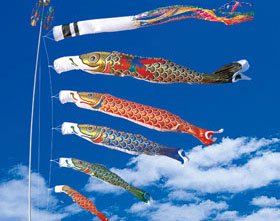 金箔金太郎鯉ナイロン雲竜吹流セット サイズ セット 定価 割引価格 7m 6点セット 301700円 129500円 7点セット 347500円 148750円 8点セット 369300円 157900円 6m 6点セット 250700円 ...