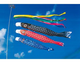 Carp Streamer - ナイロン鯉五色吹流セット3M6点セットより