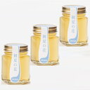 国産天然はちみつ100%【初夏の花〜ケンポナシ〜300g ×3】 雑味のない天然のはちみつの良さをできるだけ多くの皆様にお届けしたいという思いで故郷の岩手県西和...