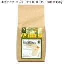 コーヒー【ベレテ・ゲラの コーヒー 焙煎 豆 450g】スーパーフード エチオピア