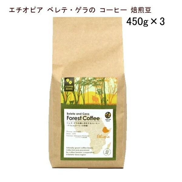 森のコーヒー（カフェーパウリスタ） コーヒー【ゲラの コーヒー 焙煎 豆 450g×3袋】スーパーフード エチオピア ベレテ・ゲラ