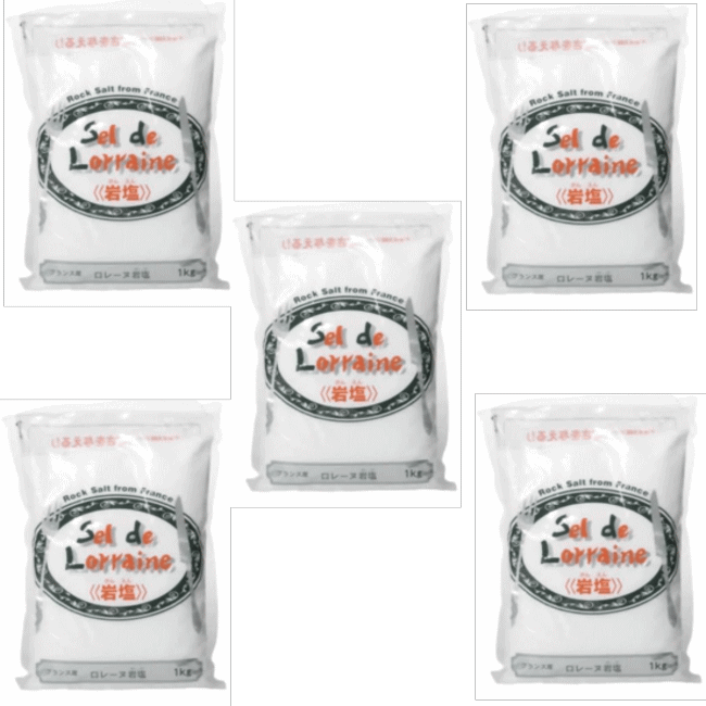 ソルト 食塩 【フランス産 ロレーヌ岩塩 1kg × 5袋 】