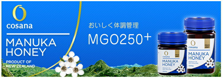 マヌカハニー 生はちみつ 「コサナマヌカハニー...の紹介画像3