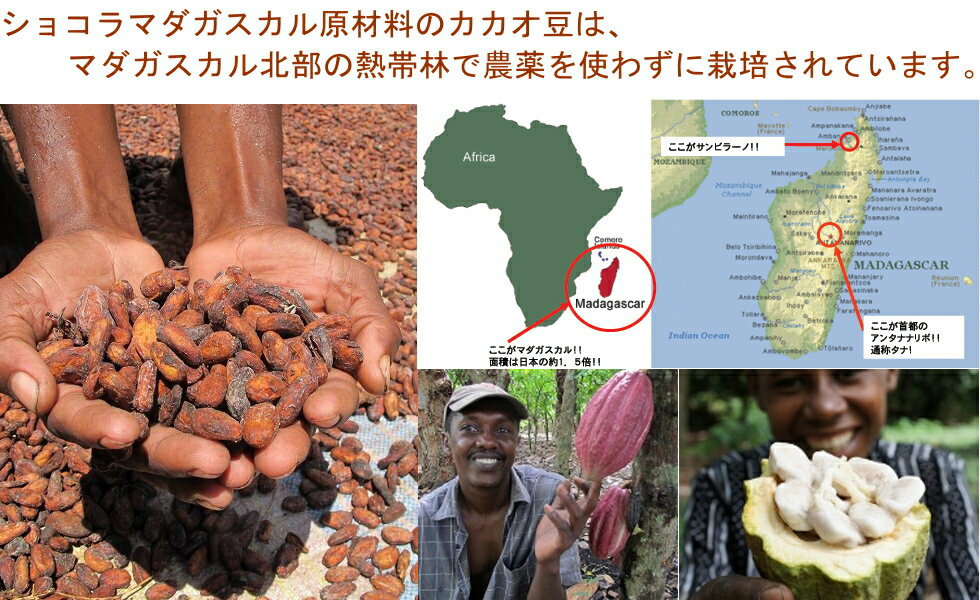 �������֥��祳��ޥ��������� �������ѥ�����70g��6�ץ��륫�경��������Ƥ��ʤ����Ťʥ������ѥ������Ǥ�������������ʬ��20��22%�Ǥ���