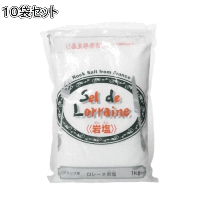 ソルト 食塩 【フランス産 ロレーヌ岩塩 1kg × 10袋 】