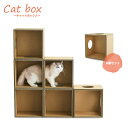 キャットボックス