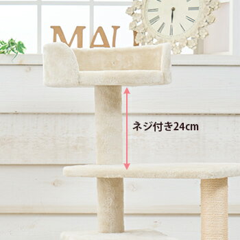 ʡۡA˥ͥդݡ롿24cmʥ˥塼