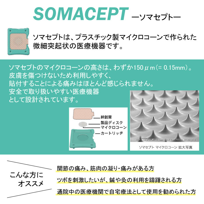 【選べる2種類】 東洋レヂン 〈ソマセプト L ブルー /ソマレゾン L オレンジ〉100枚入り 関節痛 筋肉痛 凝り ツボ 刺激 鍼 灸 2