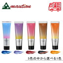 【5種類から選べる】 ホーユー ソマルカ カラーチャージ 130g 〈アッシュ/ パープル/ ピンク/ ブラウン/ オレンジ〉