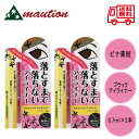 【2個セット】 ビナ薬粧 スタイリングアイライナー ブラック 0.7ミリリットル