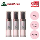 【3個セット】 REY アースリングブライトパウダー SPF50+ PA+++(4)