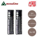 【2個セット】 ヘアカバーファンデーション ダークブラウン 150g
