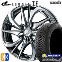 ライズ ロッキー 205/60R16 96V XL ミシュラン クロスクライメート2 Weds レオニス TE BMCMC (ブラックメタルコート/ミラーカット...