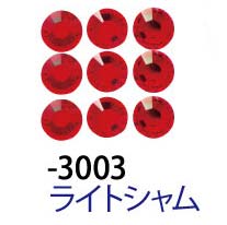 �饤�ȥ���ࡡSS16��30γ�ˡ��饤�󥹥ȡ����֥�åɷ�