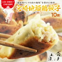 【新商品】宮崎地頭鶏(じとっこ)餃子10個 | 宮崎餃子 高鍋餃子 ぢどっこ さっぱり もっちり 皮 九州 宮崎ぎょうざ ご当地 ギョーザ 餃子女子 熱狂マニアさん ラヴィット! 月曜から夜ふかし マツコ 知らない世界 めざまし ケンミンSHOW ブランチ 行列 がむしゃらグルメ