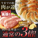 くろぶた餃子50個 | 【送料無料】 宮崎餃子 同梱におすすめ 高鍋 お取り寄せ ぎょうざ 餃子女子 完全栄養食 国産100％ 黒豚餃子 皮 もちもち 熱狂マニア ラヴィット！ 月曜から夜ふかし マツコ 知らない世界 めざまし ケンミンSHOW ブランチ 行列 上田と女 がむしゃらグルメ 3