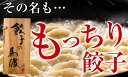 もっちり餃子30個 | 宮崎ぎょうざ 同梱におすすめ 高鍋餃子 九州 ぎょうざ 完全栄養食 皮 もちもち お取り寄せ餃子 熱狂マニアさん ラヴィット！ 月曜から夜ふかし マツコ 知らない世界 めざまし ケンミンSHOW かりそめ天国 王様のブランチ 行列 上田と女 がむしゃらグルメ 3