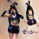 セクシーランジェリー コスプレ バニーガール 過激 下着 エロいコスプレ 兎女 可愛い ミニスカート バニー バニーコスチューム うさぎ うさ耳 衣装 フルセット