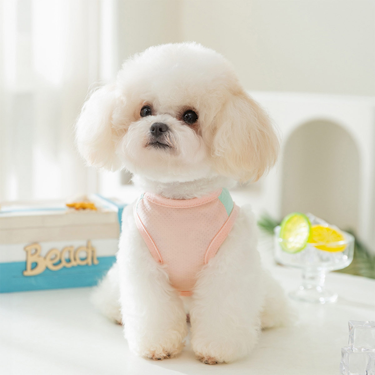 Pocket Fashionの犬服 冷感 小型犬 夏用 タンクトップ 防虫 UVカット メッシュ クールウェア 着せやすい 可愛い 袖なし ノースリーブ Tシャツ ペット服 犬 服 春 夏 犬の服 接触冷感 防虫 虫よけ ドッグウェア 夏服 Dカン付き 通気 女の子 男の子 お出かけ お散歩｜アングル2