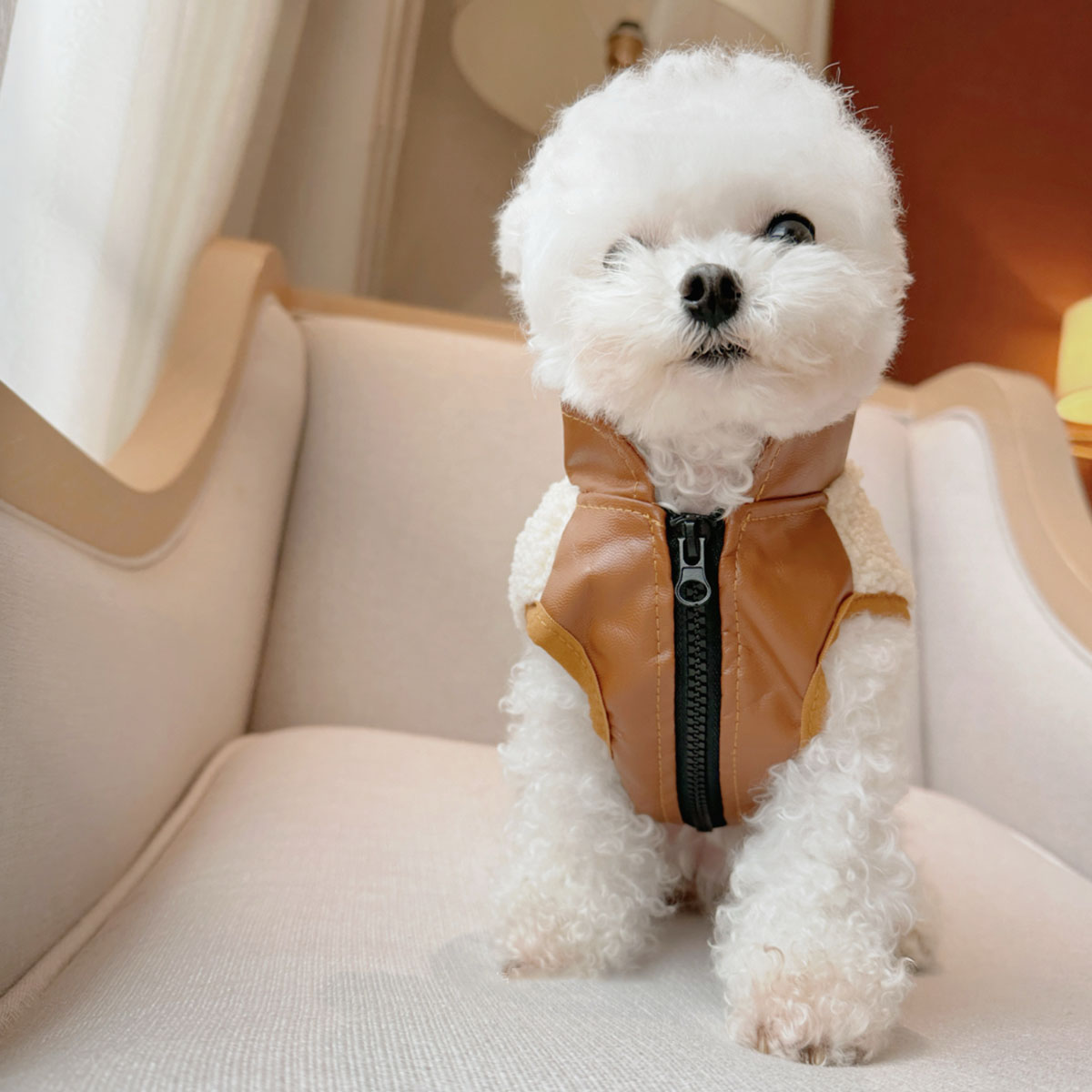 ���� �٥��� �� �ܥ� ����С� ���㥱�å� ������ �Ȥ��� µ�ʤ� �ɴ� �������� D�����դ� ���å����� �ܥ��٥��� ������ ������ �淿�� �Ȥ��� �� �� �İ��� ���λ� �ˤλ� �ɥå������� �� �� ���� ������ ���ä��� ������ ���� ���� ������ ���Ф���