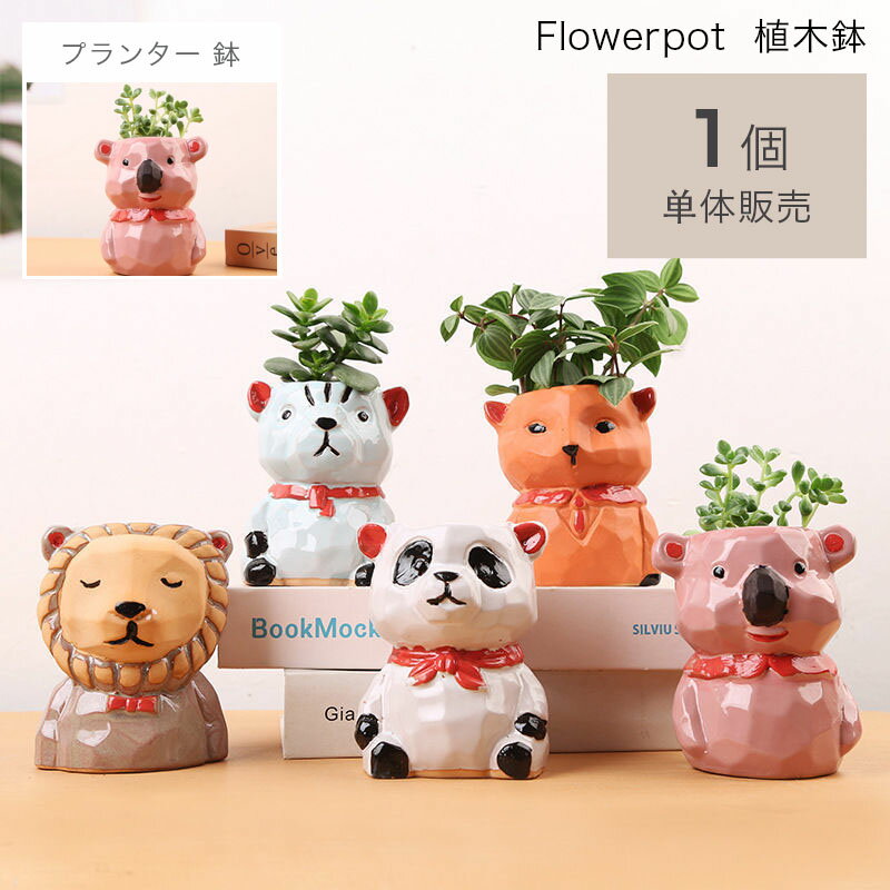 植木鉢 可愛い多肉植物用鉢 室内植物用可愛い鉢 植え プレゼント用ユニークな植木鉢 ガーデンデコレーション ガーデニングオブジェ 鉢 送料無料