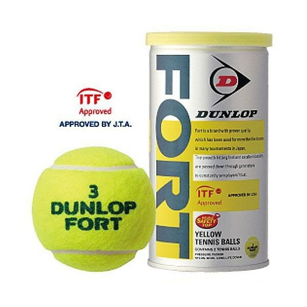 硬式テニスボール ダンロップ DUNLOP 硬式テニスボール FORT フォート 2P缶入×30