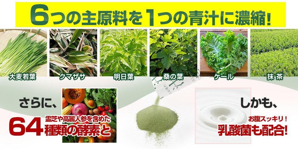 国産青汁プレミアム(栄養補助食品)正規品【2ヶ月分60包】/6大原料をぎゅっと濃縮！/甘くない抹茶味/乳酸菌 酵素 大麦若葉 クマザサ(隈笹 熊笹)明日葉 桑の葉 ケール 抹茶