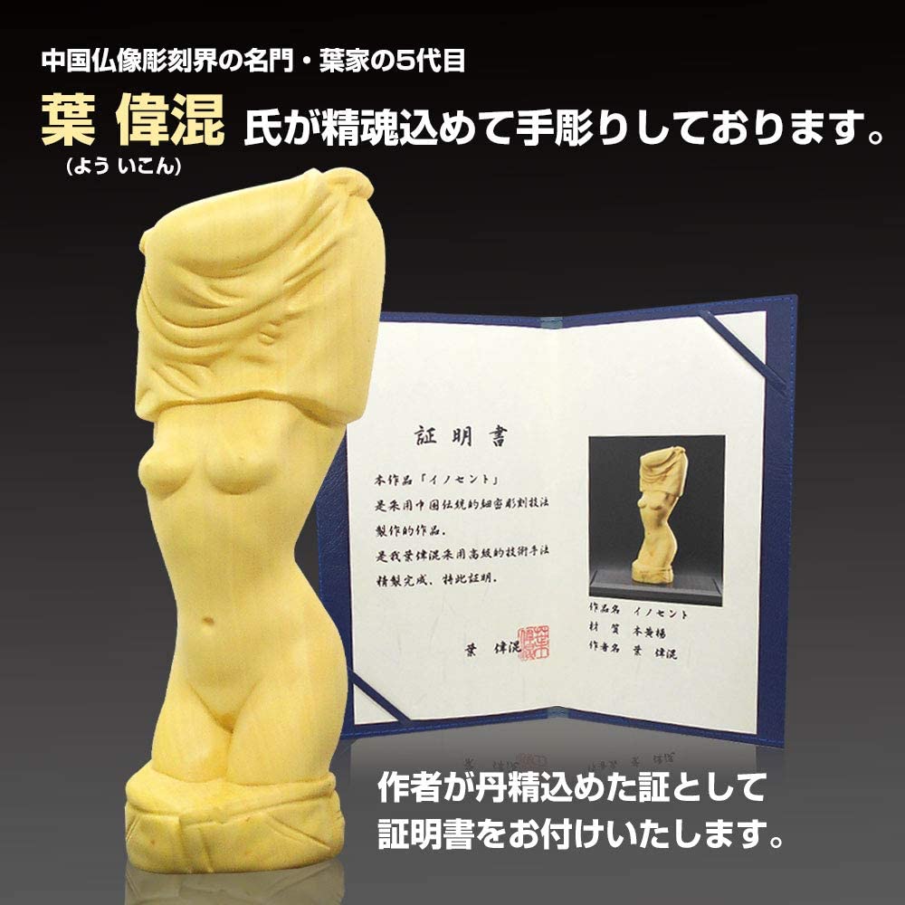 Ħ��� ��Ħ�� ����Ħ�� ������ ���Υ���� ��ʪ �ܤĤ� ��Ĺ20cm