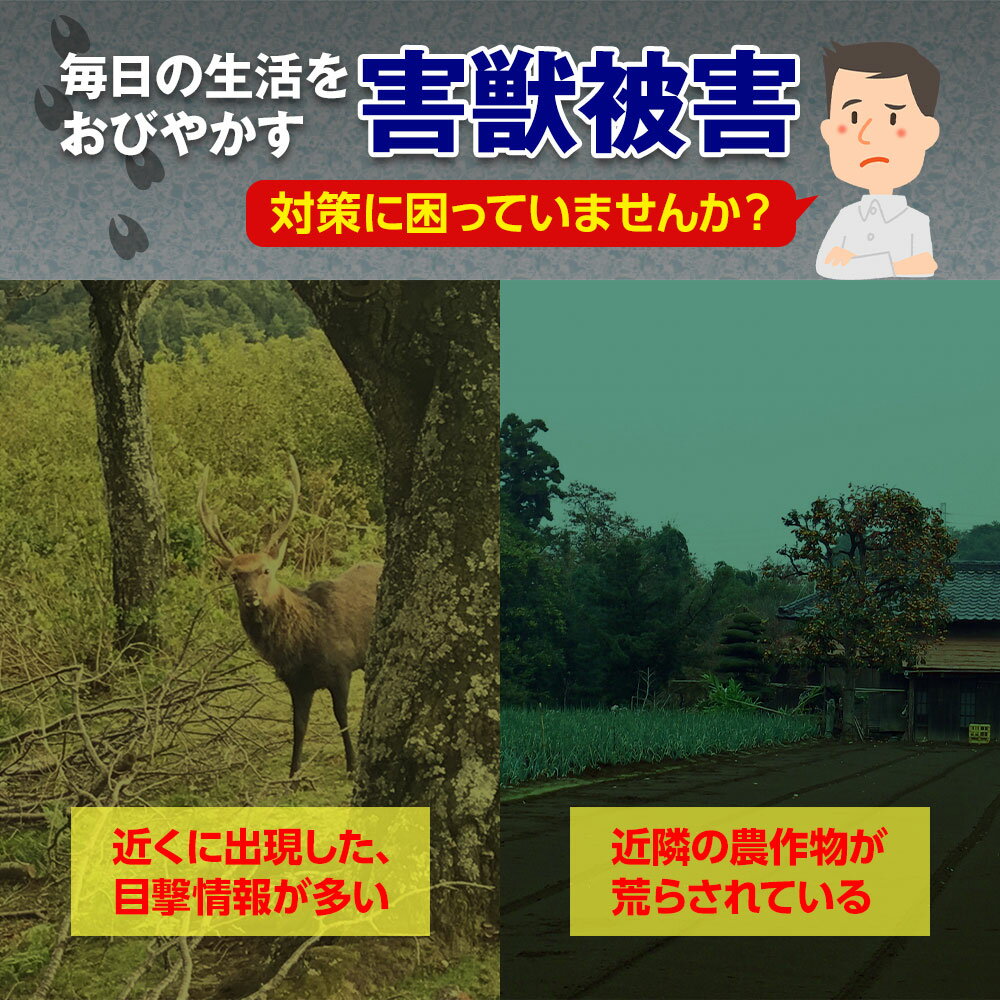 最新型 西川式くくり罠 わな造君 正規品 N-2型 シカ イノシシ捕獲用 害獣対策 実用新案第3187059号