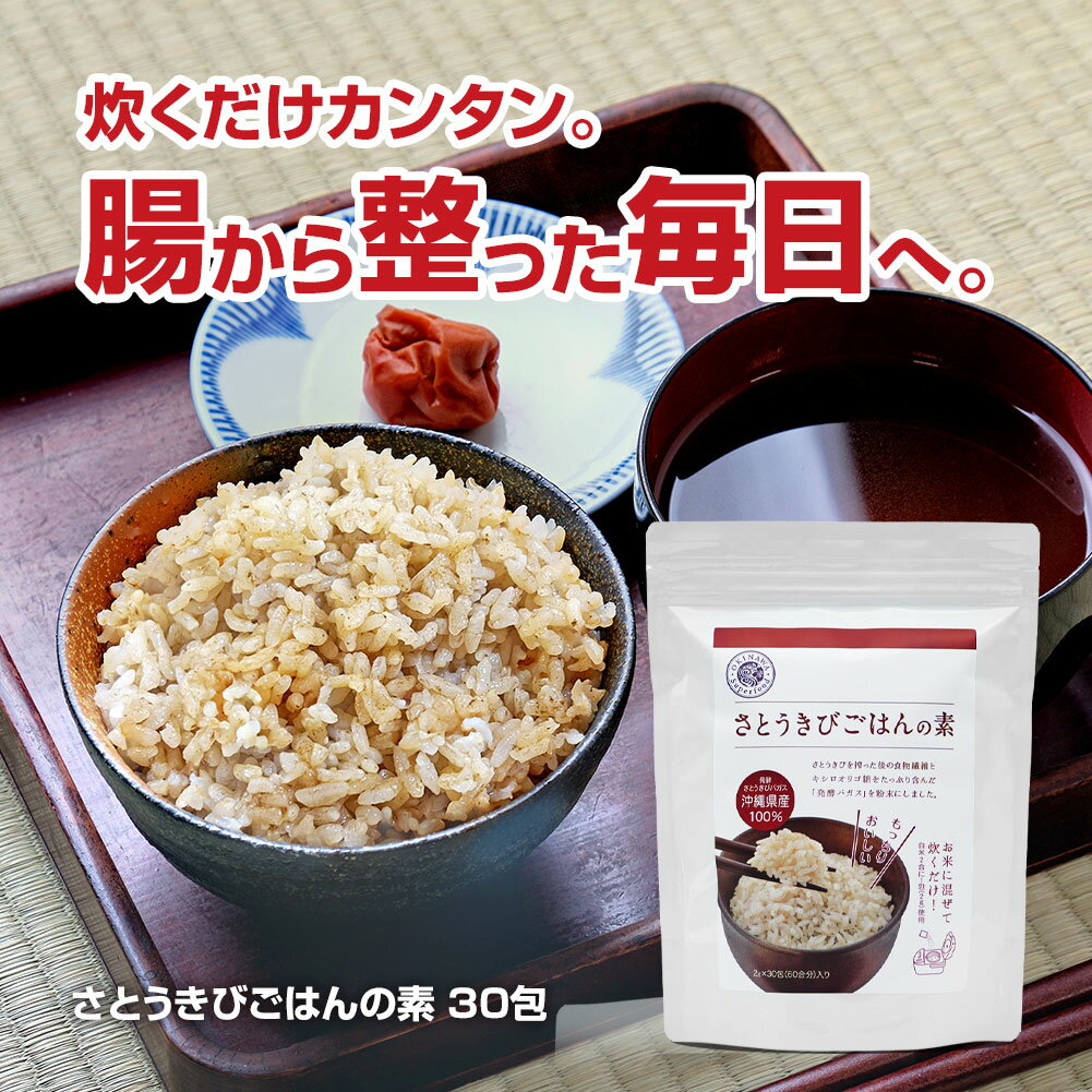 さとうきび ごはんの素 沖縄県産 食物繊維 不溶性 水溶性 腸活 2個組 30包×2 正規品