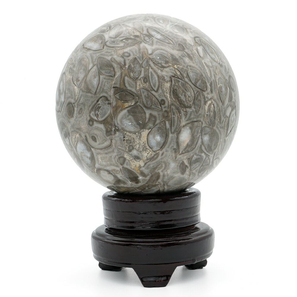 梅花石 大宝珠 ウミユリ化石 石球 台座付き 天然石 置物 オブジェ インテ...