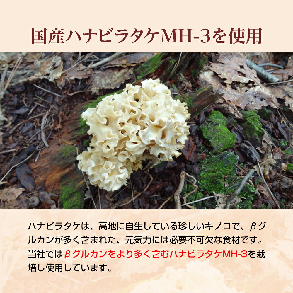 元気の源 βグルカン 高含有 220mg 臨床試験済 ハナビラタケ サプリメント 120粒 錠剤