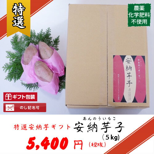 【農薬・化学肥料不使用】こだわり栽培安納芋　特選ギフト「安納芋子」5キロつめあわせ/有機/あんのういも/やきいも/お歳暮/焼きいも/お礼/プレゼント/冬ギフト　※包装形態は変更になる場合があります