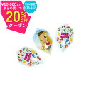 ¥15日まで最大20%オフクーポン/ ダーツ フライト エルフライト プロ 佐久間比呂美 ユニコーン unicorn L-Flight PRO Hiromi Sakuma ダーツ フライト