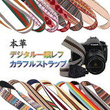  ߥ顼쥹 ͥåȥå ܳ ޥǥ 14 Canon Nikon Sony olympus OM-D ̵ ݥȾò
