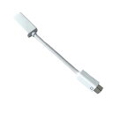 Apple Mac用 Mini DVI − HDMIアダプタ ポイント消化 1000円ポッキリ 送料無料