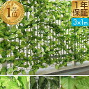 【楽天1位】グリーンフェンス 1m×3m 緑のカーテン 目隠