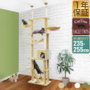 【楽天1位】【SALE特価9,900円5/16(木)14