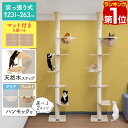 【楽天1位】キャットツリー キャットステップ 突っ張り スリム 紐巻き 10cm支柱 高さ231～263cm ステップ4段 ハンモック付き 猫タワー 低め シニア 運動不足 木登り 木登りタワー 木登りキャットポール 爪とぎ 多頭 猫 ネコ ねこ ペット 1年保証 ★[送料無料]